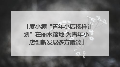 度小满“青年小店榜样计划”在丽水落地 为青年小店创新发展多方赋能