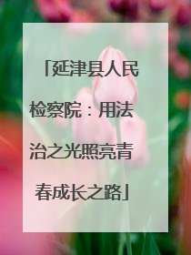 延津县人民检察院：用法治之光照亮青春成长之路