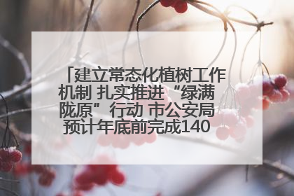 建立常态化植树工作机制 扎实推进“绿满陇原”行动 市公安局预计年底前完成1402亩绿化任务