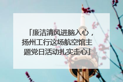 廉洁清风进脑入心，扬州工行这场航空馆主题党日活动扎实走心