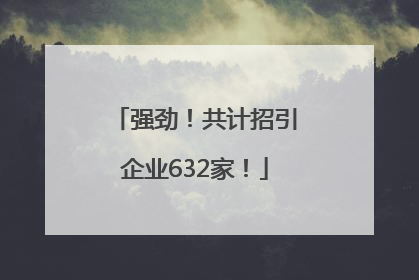 强劲！共计招引企业632家！