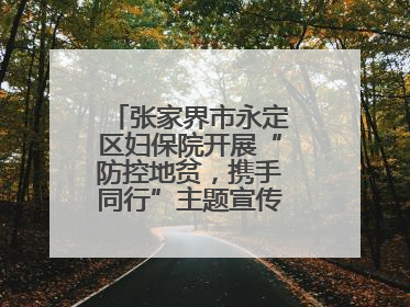 张家界市永定区妇保院开展“防控地贫，携手同行”主题宣传及义诊活动