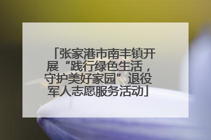张家港市南丰镇开展“践行绿色生活，守护美好家园”退役军人志愿服务活动