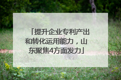 提升企业专利产出和转化运用能力，山东聚焦4方面发力