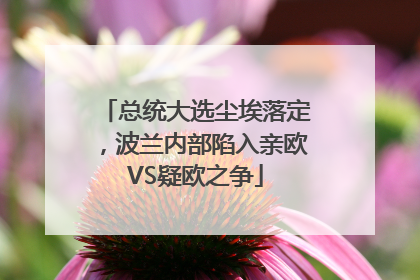 总统大选尘埃落定，波兰内部陷入亲欧VS疑欧之争