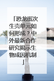 恐龙蛋次生壳单元如何形成？中外最新合作研究揭示生物成因机制