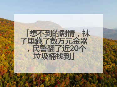 想不到的剧情，袜子里藏了数万元金器，民警翻了近20个垃圾桶找到