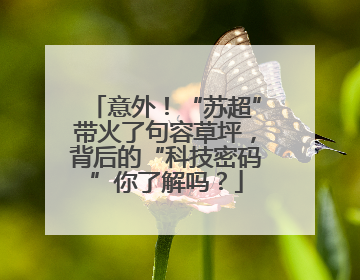 意外！“苏超”带火了句容草坪，背后的“科技密码”你了解吗？