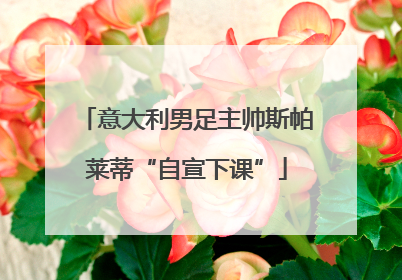 意大利男足主帅斯帕莱蒂“自宣下课”
