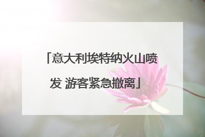 意大利埃特纳火山喷发 游客紧急撤离