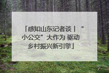 感知山东记者谈丨“小公交”大作为 驱动乡村振兴新引擎