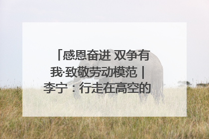 感恩奋进 双争有我·致敬劳动模范｜李宁：行走在高空的“电网卫士”