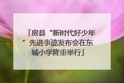 房县“新时代好少年”先进事迹发布会在东城小学隆重举行