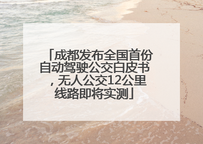 成都发布全国首份自动驾驶公交白皮书，无人公交12公里线路即将实测