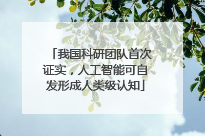 我国科研团队首次证实，人工智能可自发形成人类级认知