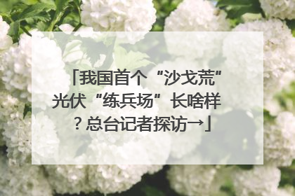 我国首个“沙戈荒”光伏“练兵场”长啥样？总台记者探访→