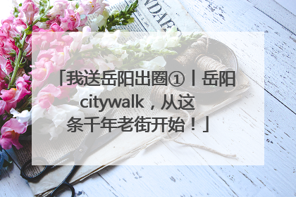 我送岳阳出圈①丨岳阳citywalk，从这条千年老街开始！