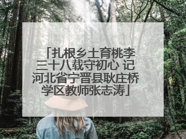 扎根乡土育桃李 三十八载守初心 记河北省宁晋县耿庄桥学区教师张志涛