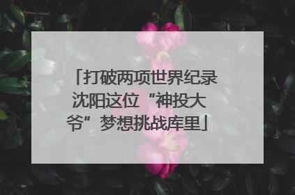 打破两项世界纪录 沈阳这位“神投大爷”梦想挑战库里