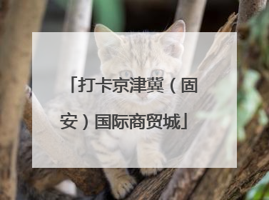 打卡京津冀（固安）国际商贸城