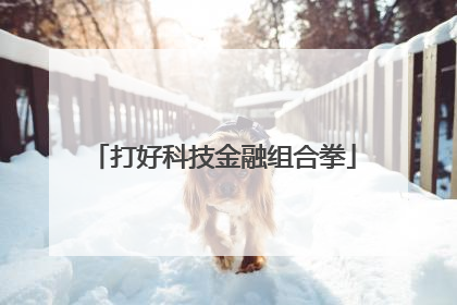 打好科技金融组合拳