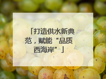 打造供水新典范，赋能“品质西海岸”