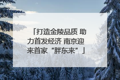 打造金陵品质 助力首发经济 南京迎来首家“胖东来”