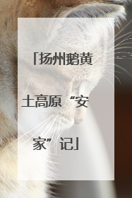 扬州鹅黄土高原“安家”记