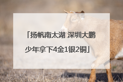 扬帆南太湖 深圳大鹏少年拿下4金1银2铜