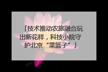 技术推动农旅融合玩出新花样，科技小院守护北京“菜篮子”