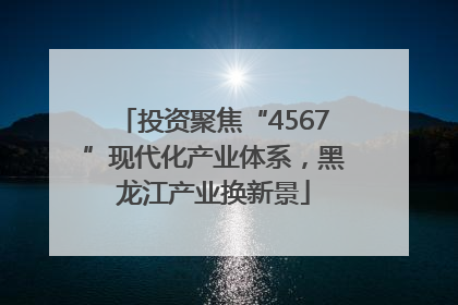 投资聚焦“4567”现代化产业体系，黑龙江产业换新景