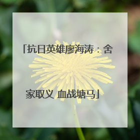 抗日英雄廖海涛：舍家取义 血战塘马