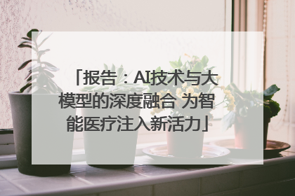 报告：AI技术与大模型的深度融合 为智能医疗注入新活力