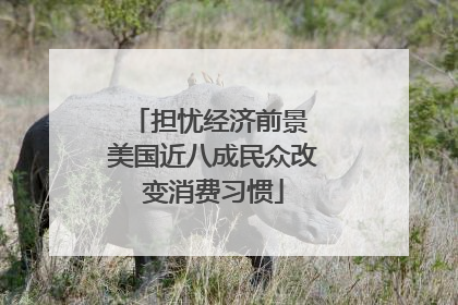 担忧经济前景 美国近八成民众改变消费习惯