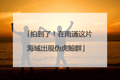 拍到了！在南通这片海域出现伪虎鲸群