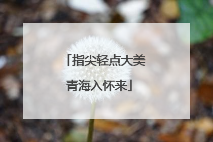 指尖轻点大美青海入怀来