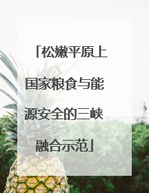 松嫩平原上国家粮食与能源安全的三峡融合示范