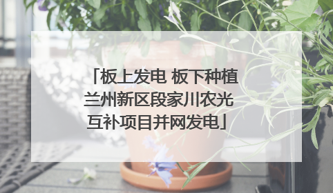板上发电 板下种植 兰州新区段家川农光互补项目并网发电