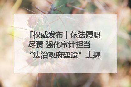 权威发布｜依法履职尽责 强化审计担当 “法治政府建设”主题系列新闻发布会市审计局专场召开