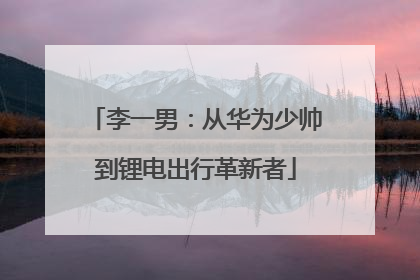 李一男：从华为少帅到锂电出行革新者