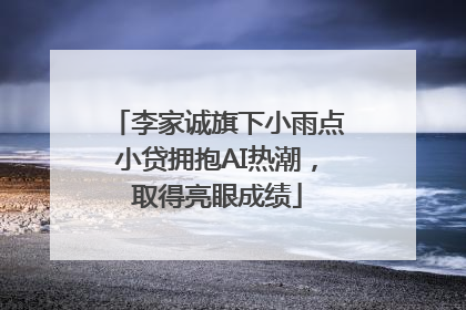 李家诚旗下小雨点小贷拥抱AI热潮，取得亮眼成绩