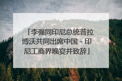 李强同印尼总统普拉博沃共同出席中国－印尼工商界晚宴并致辞
