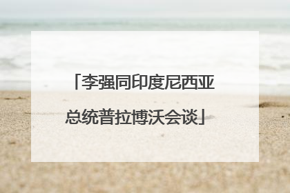 李强同印度尼西亚总统普拉博沃会谈