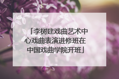 李树建戏曲艺术中心戏曲表演进修班在中国戏曲学院开班