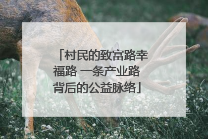 村民的致富路幸福路 一条产业路背后的公益脉络