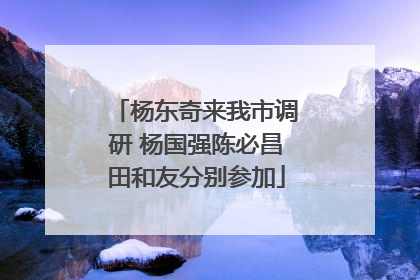 杨东奇来我市调研 杨国强陈必昌田和友分别参加