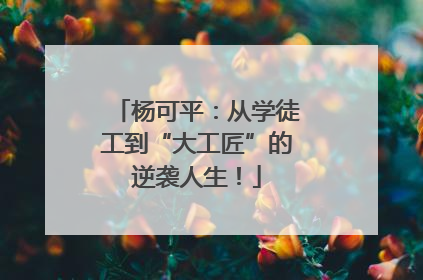杨可平：从学徒工到“大工匠”的逆袭人生！