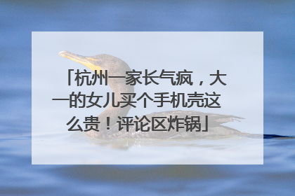 杭州一家长气疯，大一的女儿买个手机壳这么贵！评论区炸锅