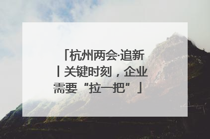 杭州两会·追新丨关键时刻，企业需要“拉一把”