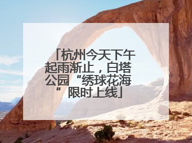 杭州今天下午起雨渐止，白塔公园“绣球花海”限时上线